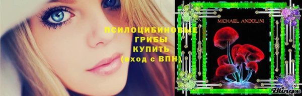 стафф Заволжск