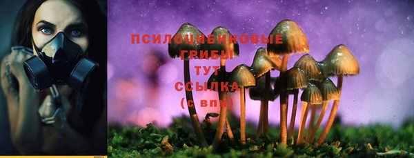 стафф Заволжск