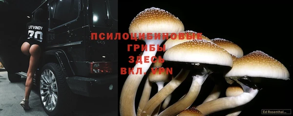 кокаин Заводоуковск