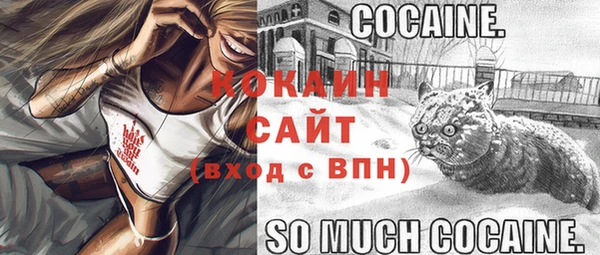ECSTASY Заволжье