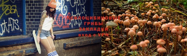 ECSTASY Заволжье