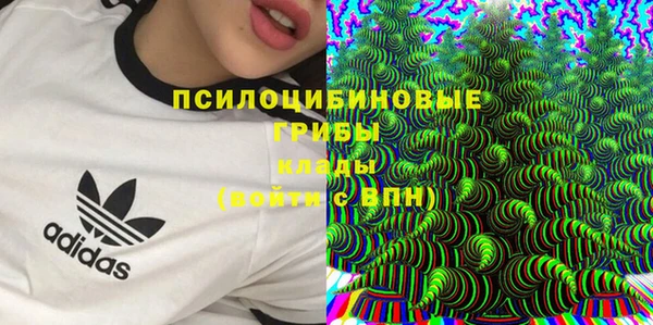 кокаин Заводоуковск